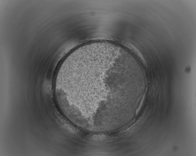 X0000094340882200711241849