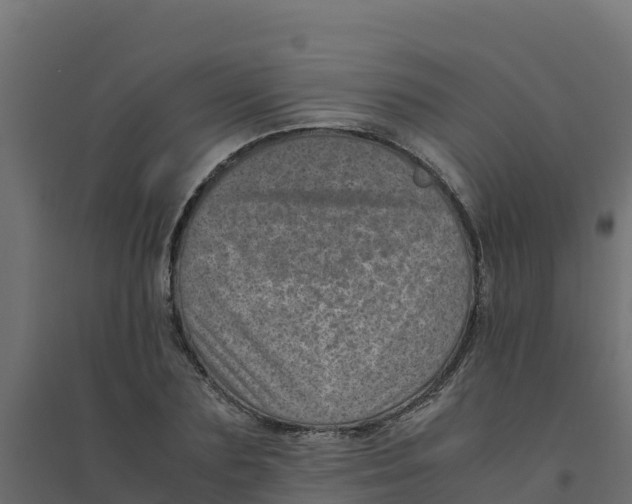 X0000094340883200711241849