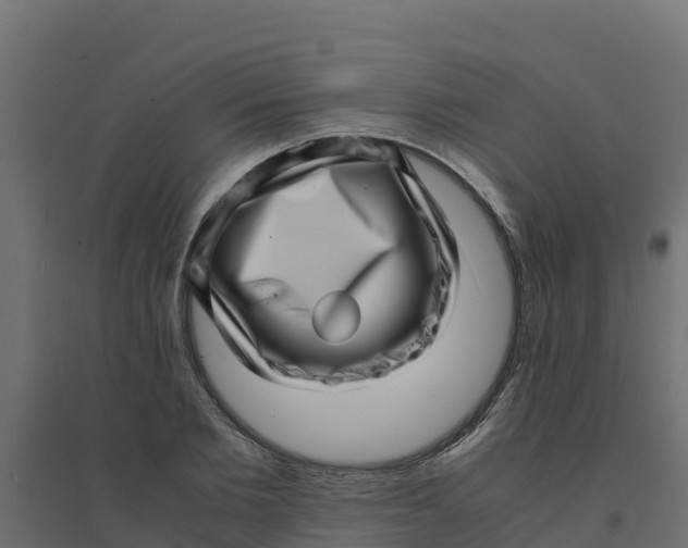 X0000094340885200711241849