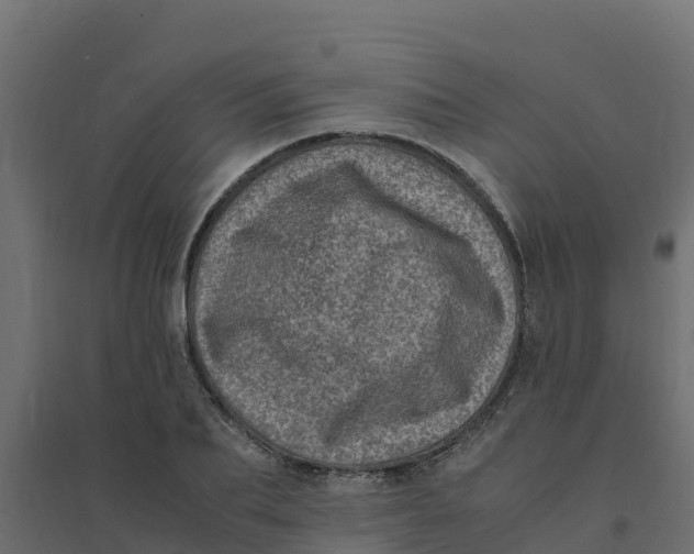 X0000094340887200711241849