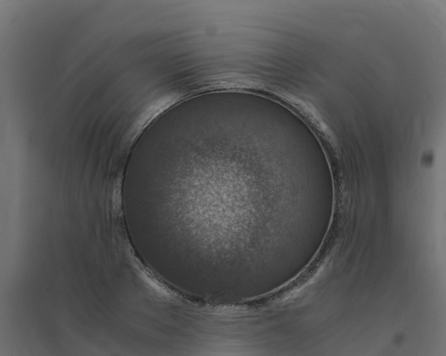 X0000094340889200711241849