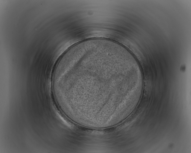 X0000094340890200711241849