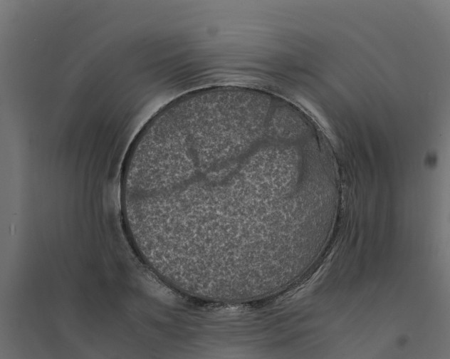 X0000094340891200711241849