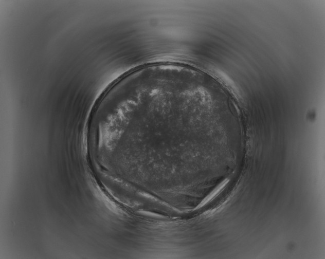 X0000094340892200711241849