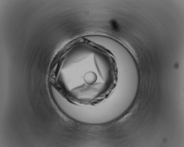 X0000094340893200711241849