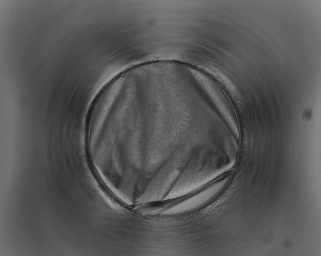 X0000094340894200711241849