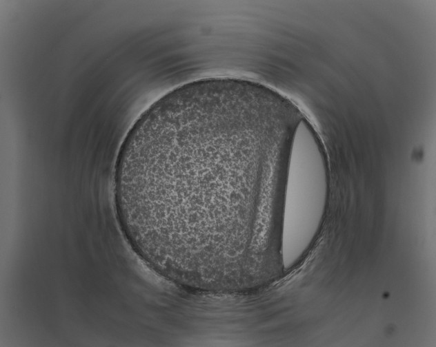 X0000094340895200711241849