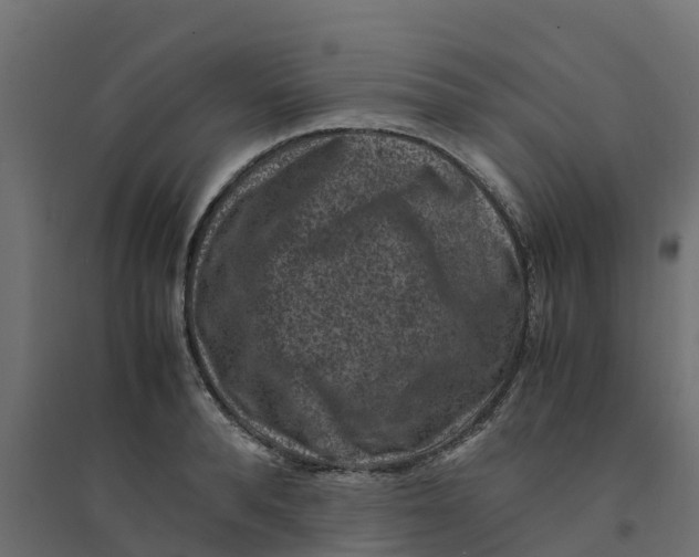 X0000094340896200711241849