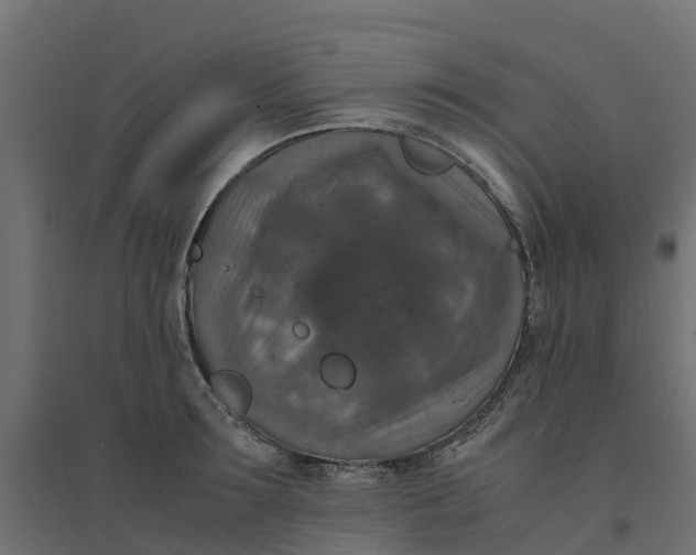 X0000094340899200711241849