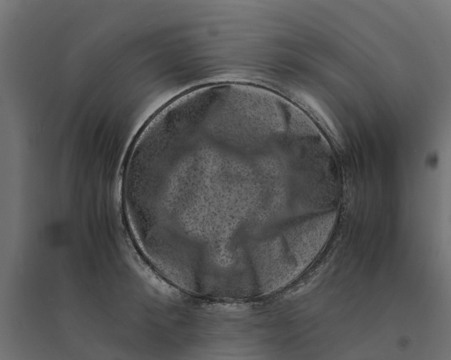 X0000094340900200711241849