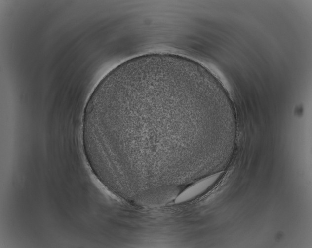 X0000094340903200711241849