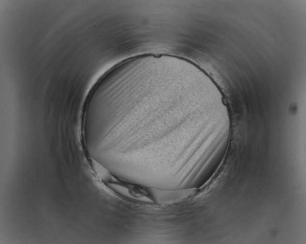 X0000094340904200711241849