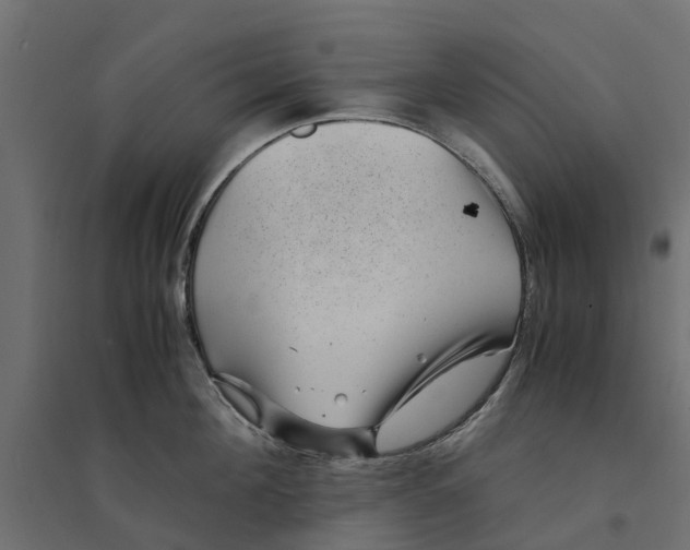 X0000094340908200711241849