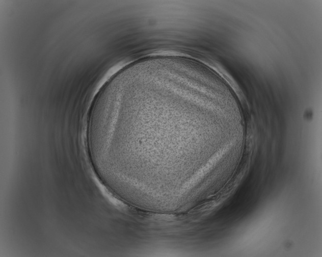 X0000094340909200711241849