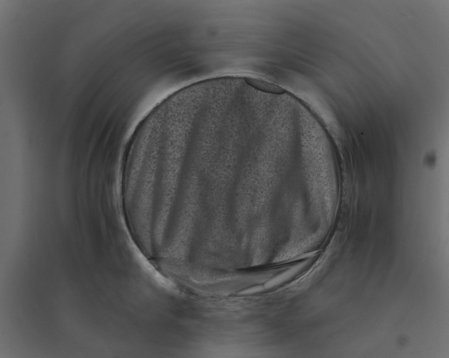 X0000094340910200711241849