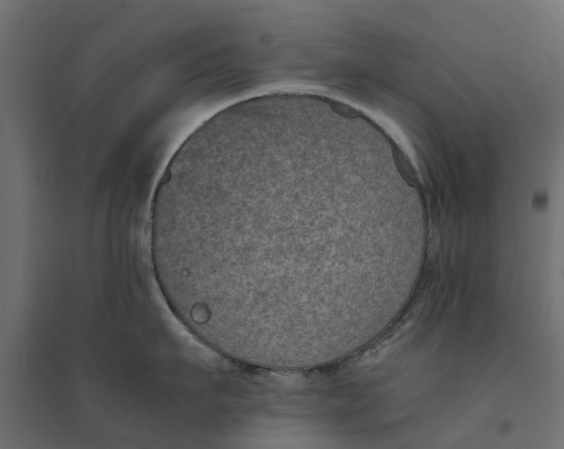 X0000094340911200711241849