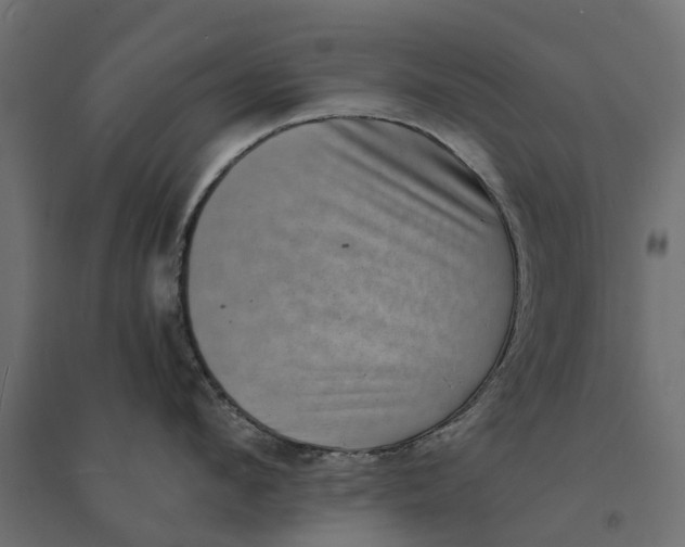 X0000094340912200711241849