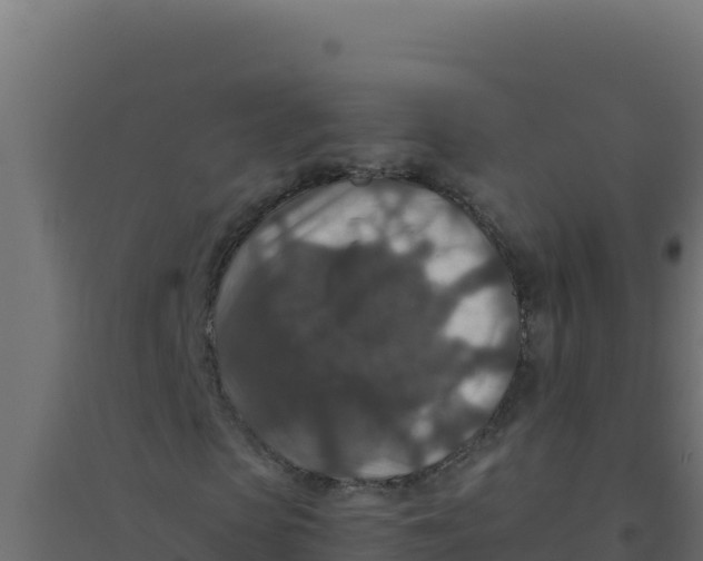 X0000094340913200711241848