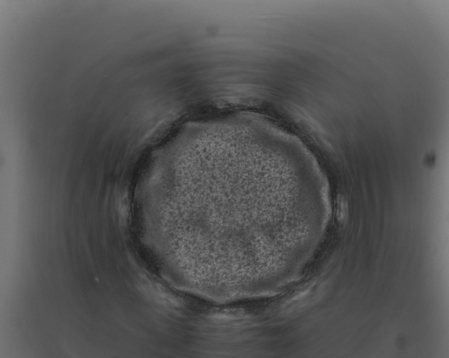 X0000094340915200711241848