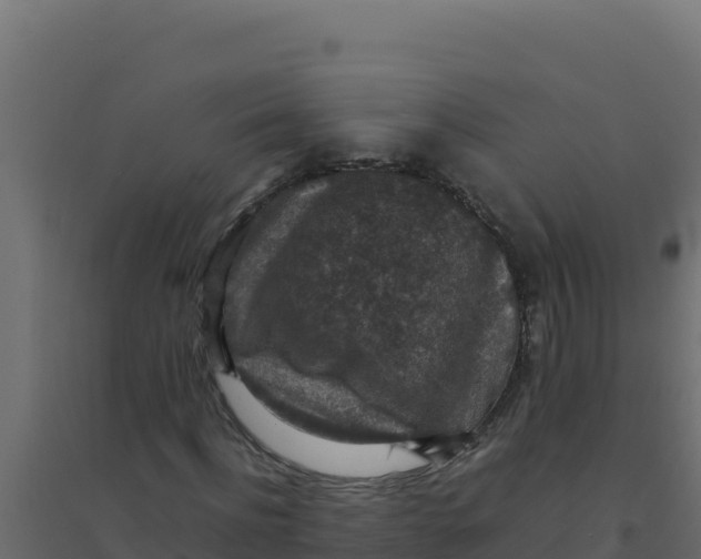 X0000094340916200711241848