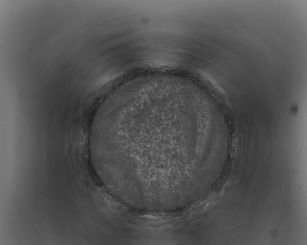 X0000094340917200711241848