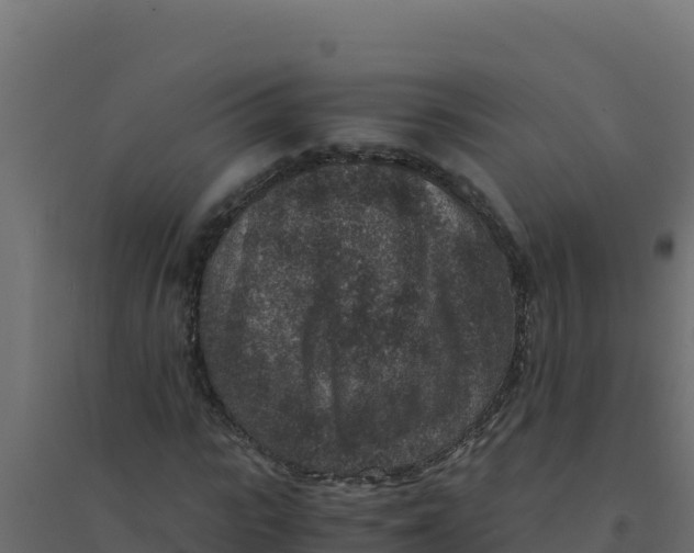 X0000094340919200711241848