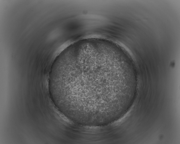 X0000094340921200711241848