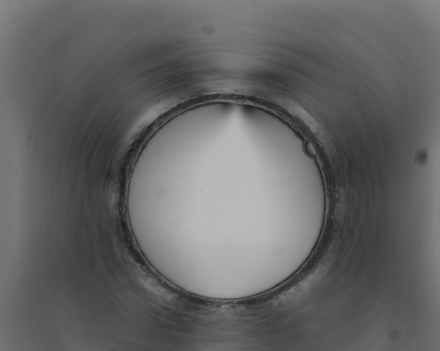 X0000094340922200711241848