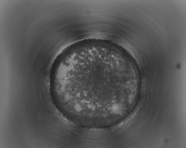 X0000094340923200711241848