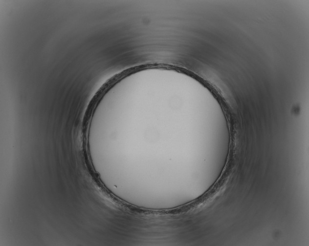 X0000094340924200711241848