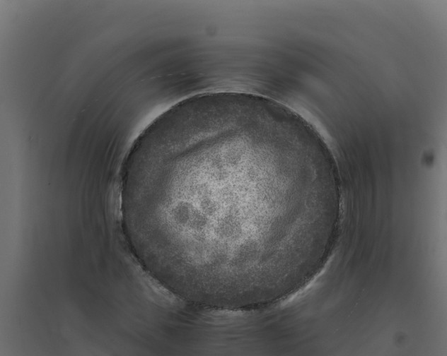 X0000094340925200711241848