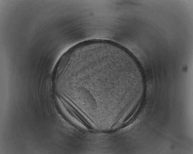 X0000094340926200711241848