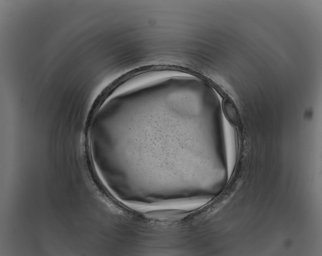 X0000094340928200711241848