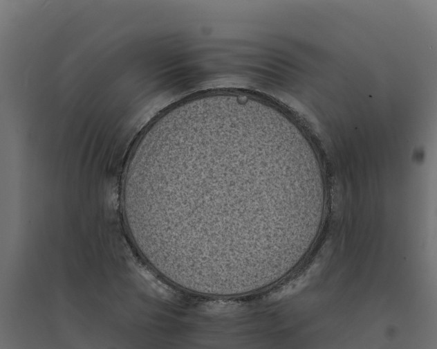 X0000094340929200711241848