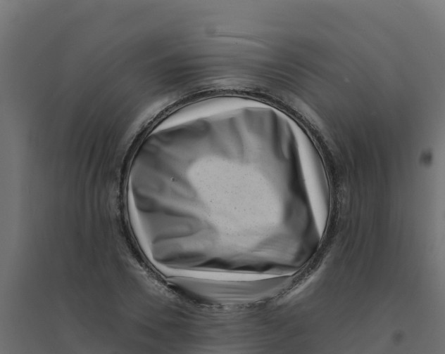 X0000094340930200711241848