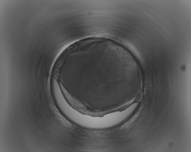 X0000094340932200711241848