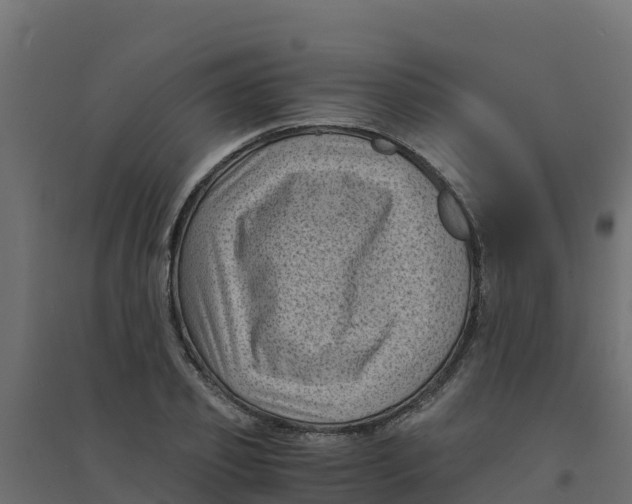 X0000094340933200711241848