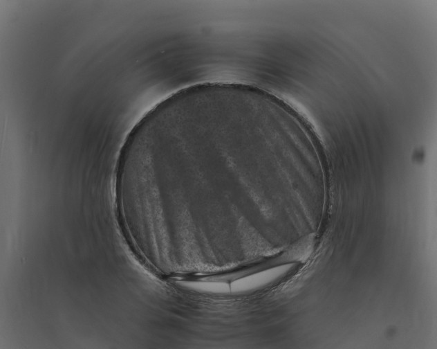 X0000094340935200711241848