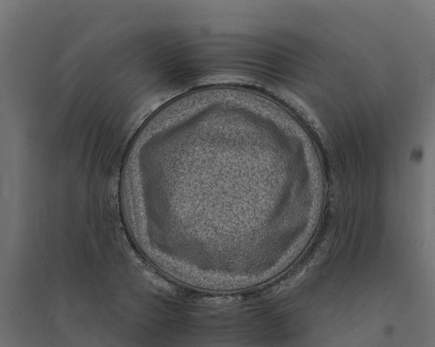 X0000094340937200711241848