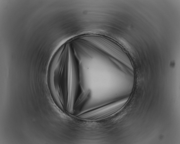 X0000094340940200711241849