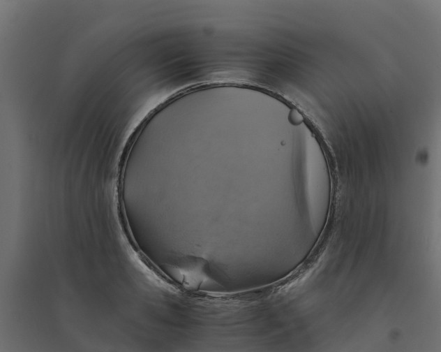 X0000094340941200711241849