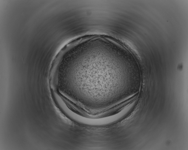 X0000094340942200711241849