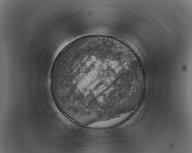 X0000094340944200711241849