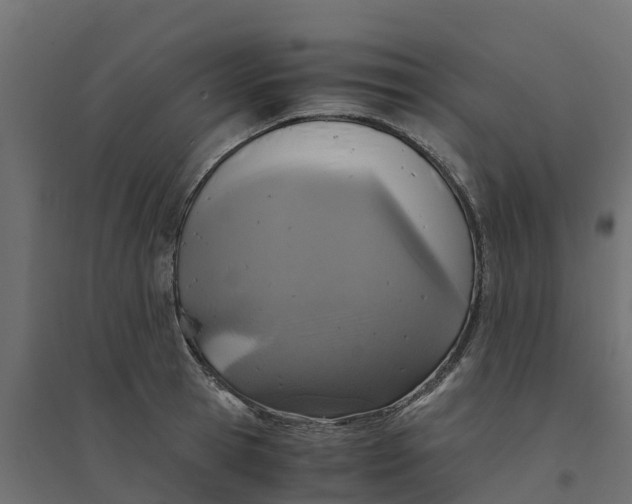 X0000094340945200711241849