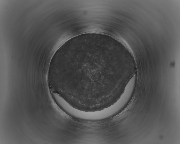 X0000094340946200711241849