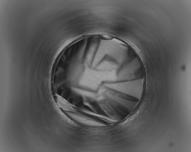 X0000094340949200711241849