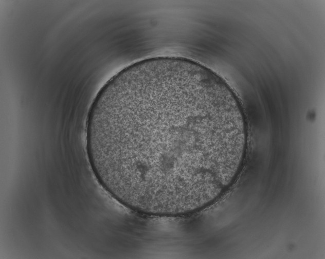 X0000094340950200711241849