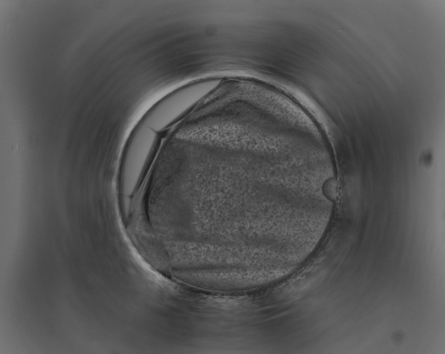 X0000094340951200711241849