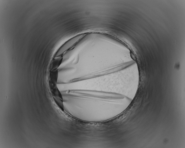 X0000094340952200711241849