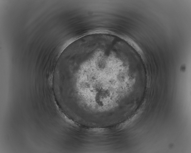 X0000094340953200711241849